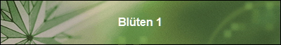 Blten 1