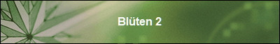 Blten 2