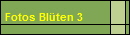 Fotos Blten 3