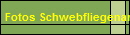 Fotos Schwebfliegenarten 4