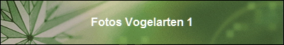 Fotos Vogelarten 1