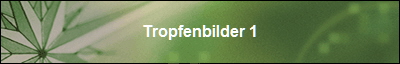 Tropfenbilder 1