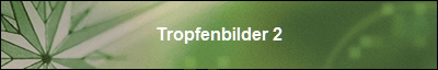 Tropfenbilder 2