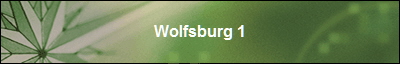 Wolfsburg 1