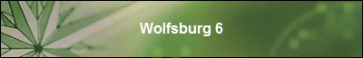 Wolfsburg 6