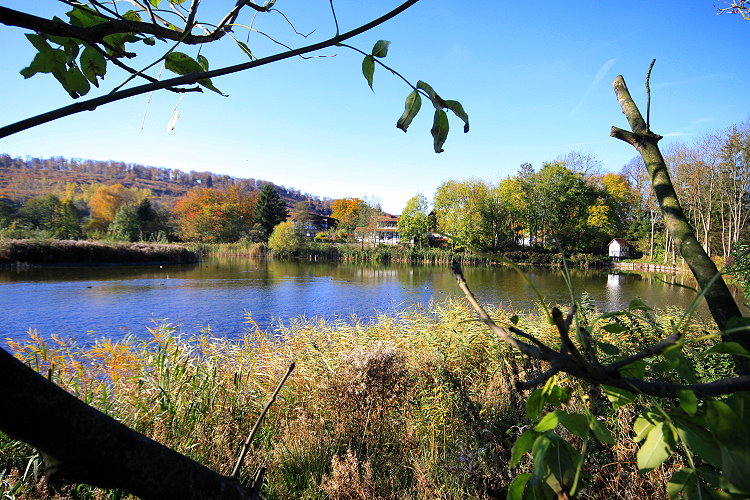 Reitlingstal im Elm