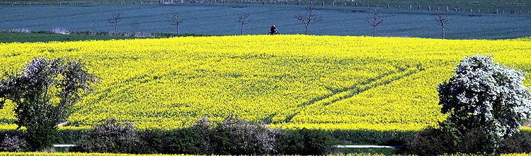 Landschaftsfotos