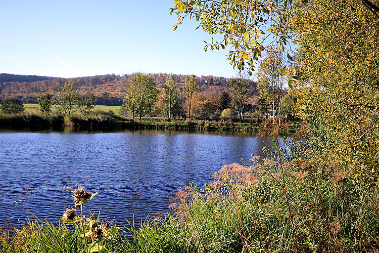 Reitlingstal im Elm