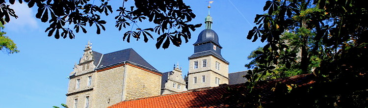 Schloss Wolfsburg