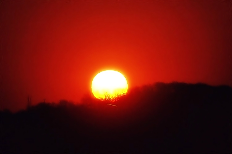 Sonnenuntergnge - Naturfotografie